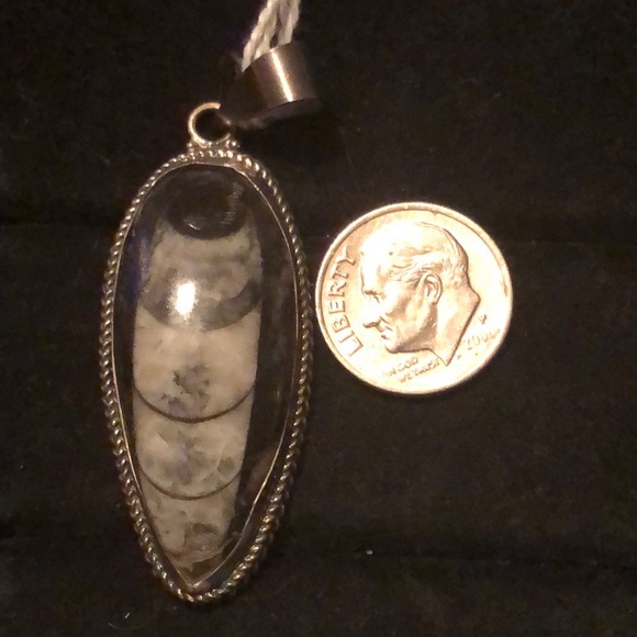 Sterling Silver Orthosaurus Fossil Pendant - Picture 5 of 5